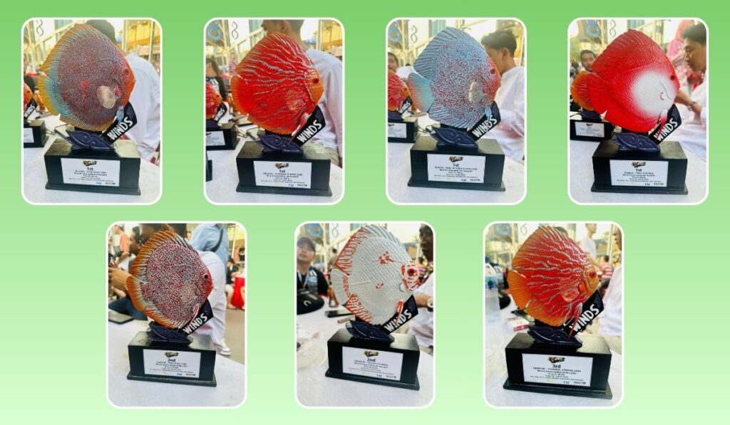 Discus Category Winner's Trophies