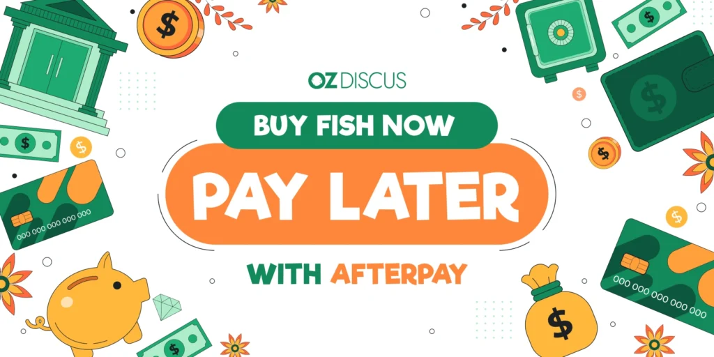 Afterpay is Now Available on OZ Discus