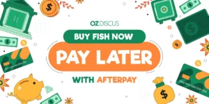 Afterpay is Now Available on OZ Discus